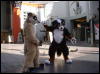 [Xavier 20060117 LA 025]