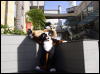 [Xavier 20060117 LA 032]