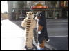 [Xavier 20060117 LA 037]