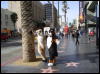 [Xavier 20060117 LA 040]