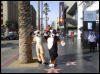 [Xavier 20060117 LA 041]