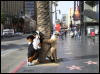 [Xavier 20060117 LA 043]