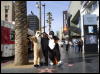 [Xavier 20060117 LA 045]