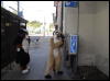 [Xavier 20060117 LA 049]