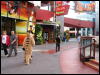 [Junkvist 20060117 LA 034]