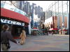 [Junkvist 20060117 LA 036]