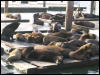 [Aoi 20060118 SanFrancisco 024]