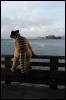 [Coffy 20060114 SanFranciscoPier39 005]