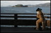[Coffy 20060114 SanFranciscoPier39 008]