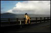 [Coffy 20060114 SanFranciscoPier39 016]