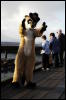 [Coffy 20060114 SanFranciscoPier39 026]