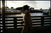 [Coffy 20060114 SanFranciscoPier39 030]
