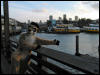 [Junkvist 20060118 SanFrancisco 003]