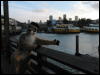 [Junkvist 20060118 SanFrancisco 057]