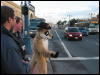 [Junkvist 20060118 SanFrancisco 064]