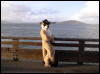 [Xavier 20060118 SanFrancisco 068]