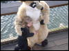 [Xavier 20060118 SanFrancisco 078]