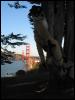 [Junkvist 20060123 SanFrancisco 031]