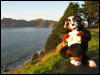 [Junkvist 20060123 SanFrancisco 040]
