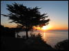 [Junkvist 20060123 SanFrancisco 052]
