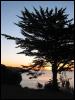 [Junkvist 20060123 SanFrancisco 066]