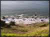 [Xavier 20060123 SanFrancisco 014]