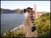 [Xavier 20060123 SanFrancisco 027]