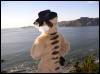 [Xavier 20060123 SanFrancisco 029]
