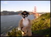 [Xavier 20060123 SanFrancisco 042]