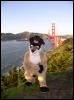 [Xavier 20060123 SanFrancisco 043]