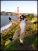 [Xavier 20060123 SanFrancisco 045]