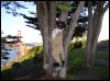[Xavier 20060123 SanFrancisco 047]
