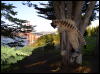 [Xavier 20060123 SanFrancisco 049]