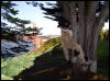 [Xavier 20060123 SanFrancisco 050]