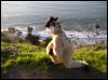 [Xavier 20060123 SanFrancisco 054]