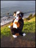 [Xavier 20060123 SanFrancisco 057]