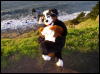 [Xavier 20060123 SanFrancisco 058]
