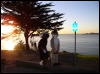 [Xavier 20060123 SanFrancisco 067]