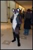 [AaronRaccoon FC2007 144]