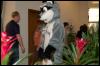 [AaronRaccoon FC2007 155]