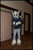 [AaronRaccoon FC2007 222]