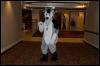 [AaronRaccoon FC2007 337]