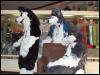 [Bungeeskunk FC2007 404]