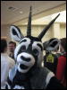 [Devilwuff FC2007 065]