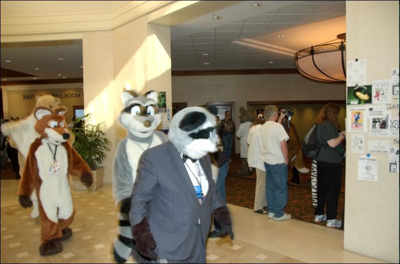 [AaronRaccoon_FC2007_377.jpg]