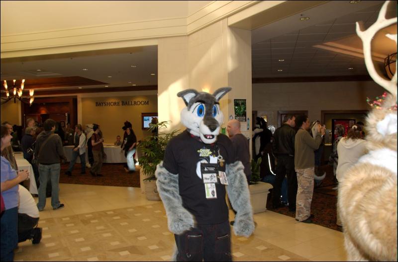 [AaronRaccoon_FC2007_554.jpg]