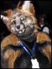 [BaltoWoof FC2008 145]