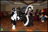 [RyuRaccoon FC2008 0625]