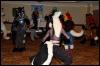 [RyuRaccoon FC2008 0627]