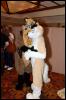 [RyuRaccoon FC2008 0629]